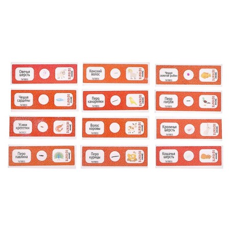 Set for experiments "Set of micropreparations", animals-3