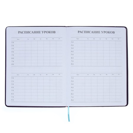 School diary for grades 5-11, PVC cover, Neon, purple-6