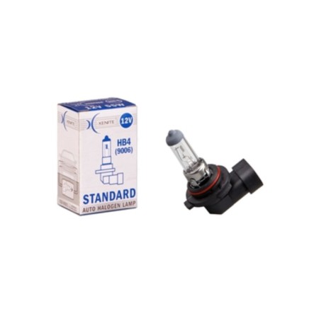 Car lamp Xenite Standart HB4 9006 (P22D)-1
