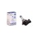 Car lamp Xenite Standart HB4 9006 (P22D)