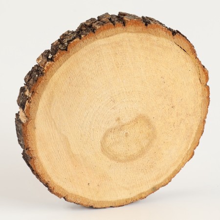 Wood on the New Year for children. Drawing on the saw "Deer", a set for creativity-4