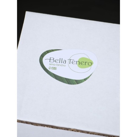 Glass Bank for bulk products with bamboo cover Bellatenero "Eco. Triangle ", 500 ml, 10 × 10.8 cm-6