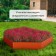 Glocked flowerbed, d = 80 cm, h = 15 cm, orange, Greengo