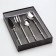 A set of cutlery of stainless steel Magistro Ocean, 4 objects, silver color