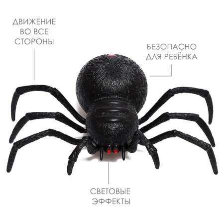 The spider radio -controlled "Black Widow" works from batteries-2