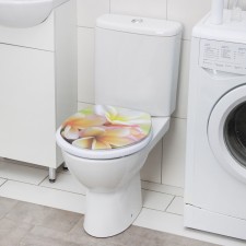 The toilet seat with the plumeria lid, 40 × 37 cm