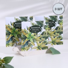 Aromasash 