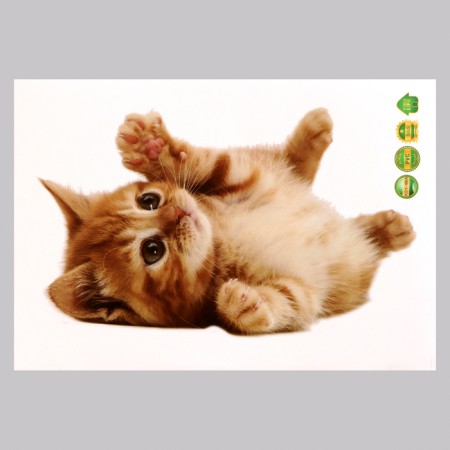 Stick 3D interior cat 29*21cm