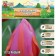Tulip Triumph Aphrodite, river 11/12, 5 pcs, autumn 2024