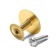 Handle button tundra RK002gp, color gold
