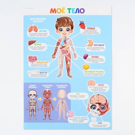 A set of training posters “prepare for school”, 10 in 1, A4-27