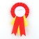 Icon - Order for the graduation "Graduate of the kindergarten", D = 9 cm