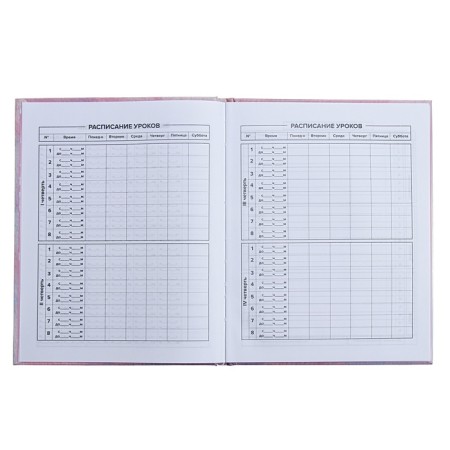 Universal Diary Grade 1-11, 48 sheets "Cat with a donut", hard cover, glossy lamination, foil embossing-7