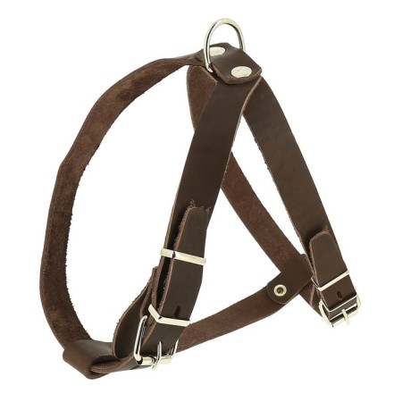 Leather harness 2 cm, Osh 45-53 cm, og 51-59 cm