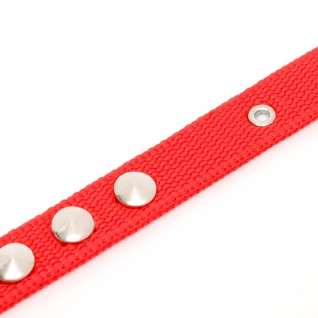 Animal collar-5