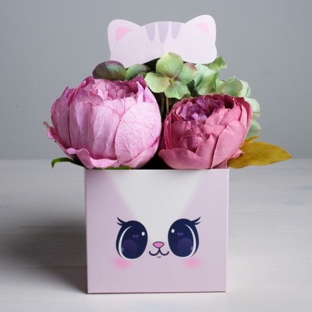 Box for flowers with the topper "Cat", 11 x 12 x 10 cm-3