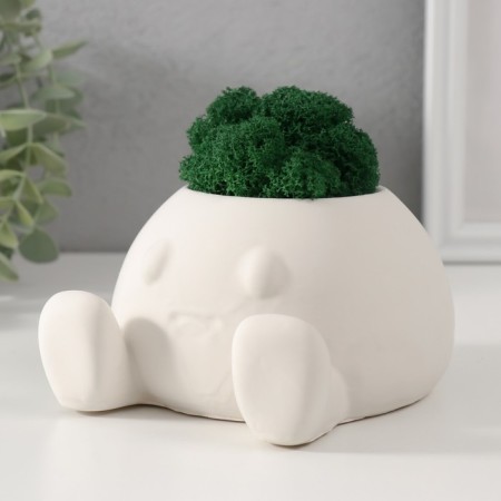 Cashpo concrete "Ball with eyes" with moss 7*12 cm white (moss green stabilized)-3