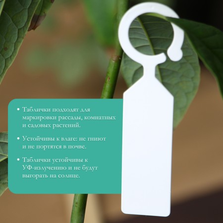Garden tags for marking, 10.5 cm, set 20 pcs., Marker, plastic, white, Greengo-2