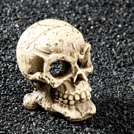 Decor for the Aquarium "Skull", 10 x 8 x 9 cm