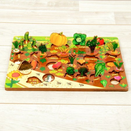 Set "Vegetables in the garden"-3