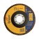 Circle of petal end tundra, 115 x 22 mm, p24