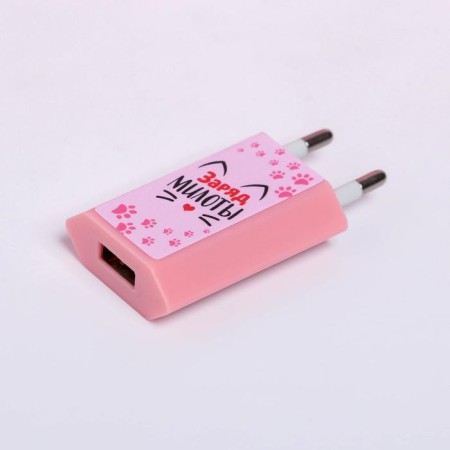 Charger, popcet, headphones, flash drive and plug “Happy Meow Box”, set-12