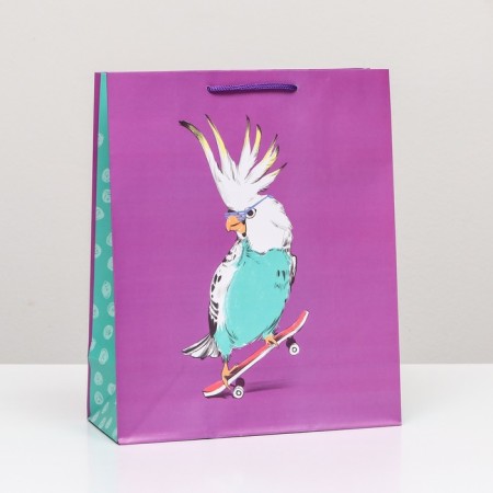 Gift package "Cool parrot" 26 x 32 x 12 cm