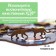 Ewa wooden puzzle, black panther, 21 × 19 cm, puzzle