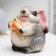 Piggy bank "Rabbit with carrots" 15x13x13cm