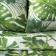 Bed linen "Ethel" 2 sp., Monster, size 175x215 cm, 200x220 cm, 70x70 cm - 2 pcs