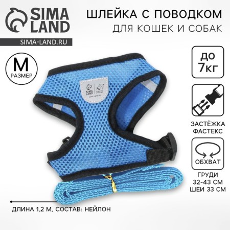 Drinking harness with a leash and reflective patch, m, ok 33, og 32-43, blue