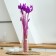 Dry-flowers "Lagurus", set of 30 pcs., The color is light purple