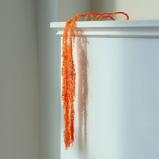 Dry amaranth flowers, 100 g, sheet size: from 50 to 60 cm, orange color