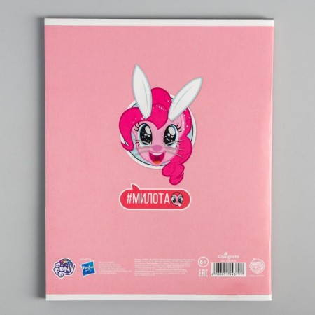 Notebook of 48 sheets in a cage, cardboard cover "Pony", My Little Pony-3