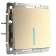 Single-valve circuit breaker with WL10-SW-1G-2W-LOD backlight, champagne color