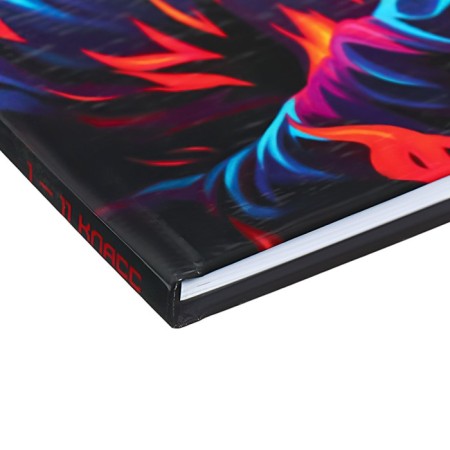 Universal diary for grades 1-11 Anonymous, solid cover, glossy lamination, 40 sheets-2