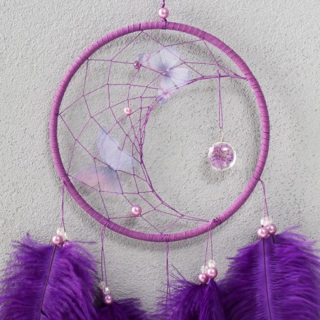 Dreams "Butterflies and ostrich feathers" purple d = 15 cm 50x15 cm-1