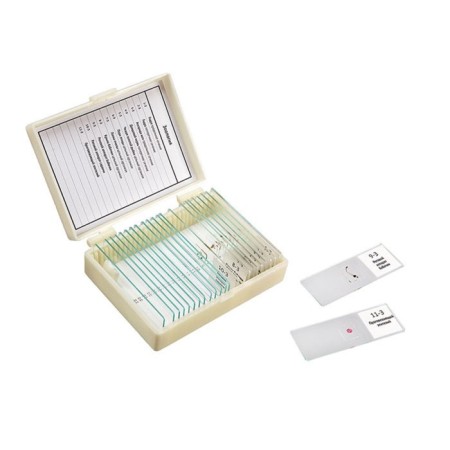 Set of drugs "Zoology", 11 samples for school