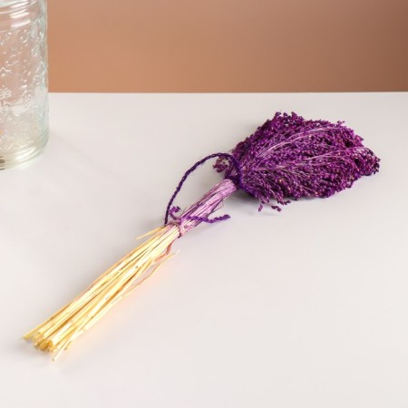 Set of dried flowers "millet", banch length 45 (+/- 6 cm), purple-3