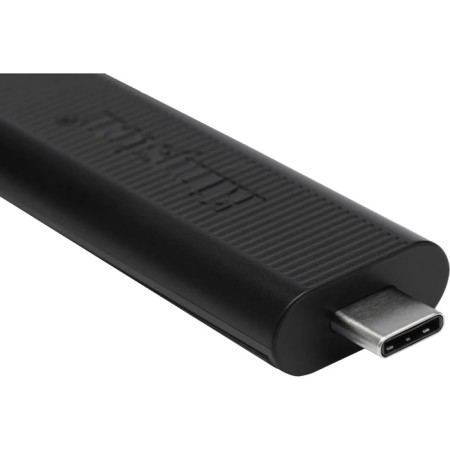 USB flash drive_256 GB Kingston dt Max Type-a USB 3.2 Gen2, R1000MB/S/W900MB/S, DTMAXA/108049-1