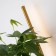 Wall lamp Greenry 120 mm, 210 mm, LED 12W