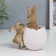 Polystone souvenir "Rabbit in an egg shell with flowers" 10x5.5x9 cm