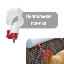 The drinker is nipple, for poultry, with fastening on the pipe, Greengo