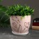 Flower Pot "Flowers" 2.5 l, white