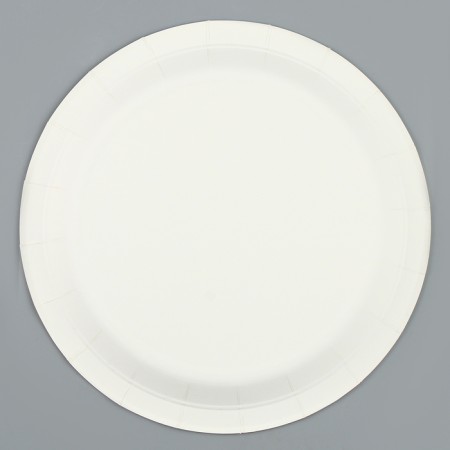 Paper plates "Summer paints", 6 pcs.-1
