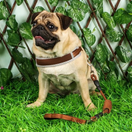 Soft holl set, leash 120 x 1.5 cm with a swivel, m, ok 32-72 cm, og 32-72 cm, brown-6
