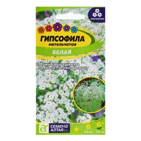 Gypsophyla seeds "White panicem", 0.2 gr.