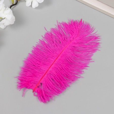 Fuchsia decorative feather
