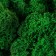 The moss stabilized "green" 500 gr (+-5 gr).