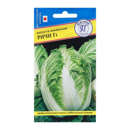 Seeds of Peking Cabbage "Richie F1", c/n, 10 pcs.